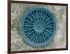 Microscopic View of Diatom-Jim Zuckerman-Framed Photographic Print