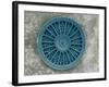 Microscopic View of Diatom-Jim Zuckerman-Framed Photographic Print