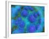 Microscopic View of Diplococcus Bacterium-null-Framed Art Print