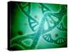 Microscopic View of DNA-Stocktrek Images-Stretched Canvas