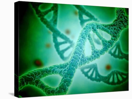 Microscopic View of DNA-Stocktrek Images-Stretched Canvas