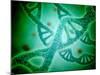 Microscopic View of DNA-Stocktrek Images-Mounted Photographic Print