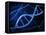 Microscopic View of DNA-Stocktrek Images-Framed Stretched Canvas