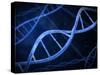 Microscopic View of DNA-Stocktrek Images-Stretched Canvas
