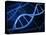 Microscopic View of DNA-Stocktrek Images-Stretched Canvas