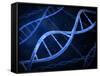 Microscopic View of DNA-Stocktrek Images-Framed Stretched Canvas