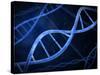 Microscopic View of DNA-Stocktrek Images-Stretched Canvas