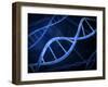 Microscopic View of DNA-Stocktrek Images-Framed Photographic Print