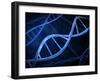 Microscopic View of DNA-Stocktrek Images-Framed Photographic Print