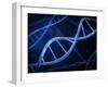 Microscopic View of DNA-Stocktrek Images-Framed Photographic Print