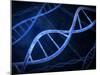 Microscopic View of DNA-Stocktrek Images-Mounted Photographic Print