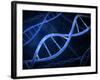 Microscopic View of DNA-Stocktrek Images-Framed Photographic Print