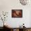 Microscopic View of Ebola Virus-null-Framed Stretched Canvas displayed on a wall