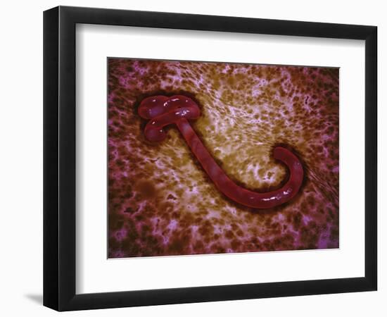 Microscopic View of Ebola Virus-null-Framed Art Print