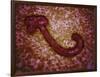 Microscopic View of Ebola Virus-null-Framed Art Print