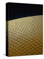 Microscopic View of Eye of Fly-Jim Zuckerman-Stretched Canvas