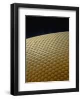 Microscopic View of Eye of Fly-Jim Zuckerman-Framed Premium Photographic Print