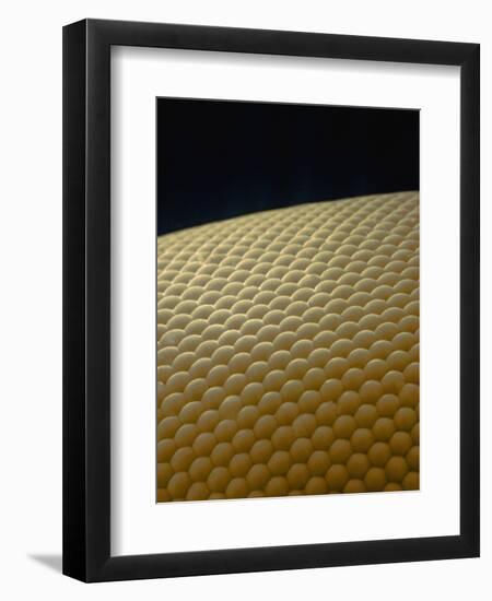 Microscopic View of Eye of Fly-Jim Zuckerman-Framed Premium Photographic Print