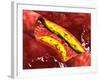 Microscopic View of Fat Plaque Inside the Artery-null-Framed Art Print