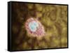 Microscopic View of Giardiasis-null-Framed Stretched Canvas