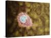 Microscopic View of Giardiasis-null-Stretched Canvas