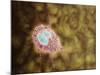 Microscopic View of Giardiasis-null-Mounted Art Print