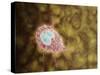 Microscopic View of Giardiasis-null-Stretched Canvas