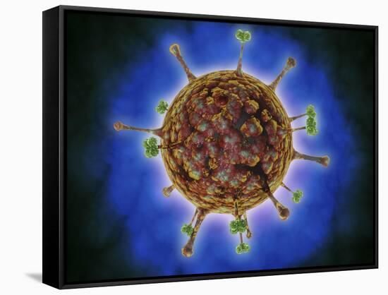 Microscopic View of Henipavirus-null-Framed Stretched Canvas