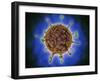 Microscopic View of Henipavirus-null-Framed Art Print