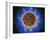 Microscopic View of Henipavirus-null-Framed Art Print