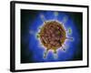 Microscopic View of Henipavirus-null-Framed Art Print