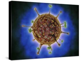 Microscopic View of Henipavirus-null-Stretched Canvas