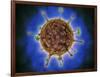 Microscopic View of Henipavirus-null-Framed Art Print