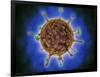 Microscopic View of Henipavirus-null-Framed Art Print