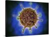 Microscopic View of Henipavirus-null-Stretched Canvas