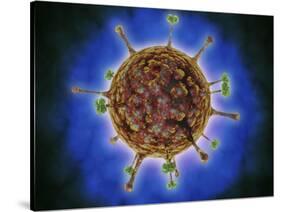 Microscopic View of Henipavirus-null-Stretched Canvas