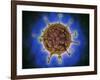 Microscopic View of Henipavirus-null-Framed Art Print