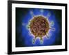 Microscopic View of Henipavirus-null-Framed Art Print