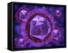 Microscopic View of Herpes Virus-null-Framed Stretched Canvas