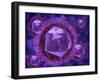 Microscopic View of Herpes Virus-null-Framed Art Print