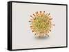 Microscopic View of Herpes Virus-null-Framed Stretched Canvas