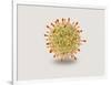 Microscopic View of Herpes Virus-null-Framed Art Print