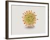 Microscopic View of Herpes Virus-null-Framed Art Print