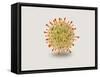 Microscopic View of Herpes Virus-null-Framed Stretched Canvas