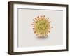 Microscopic View of Herpes Virus-null-Framed Art Print
