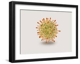 Microscopic View of Herpes Virus-null-Framed Art Print