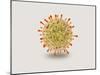 Microscopic View of Herpes Virus-null-Mounted Art Print