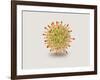 Microscopic View of Herpes Virus-null-Framed Art Print