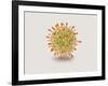 Microscopic View of Herpes Virus-null-Framed Art Print