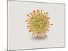 Microscopic View of Herpes Virus-null-Mounted Art Print